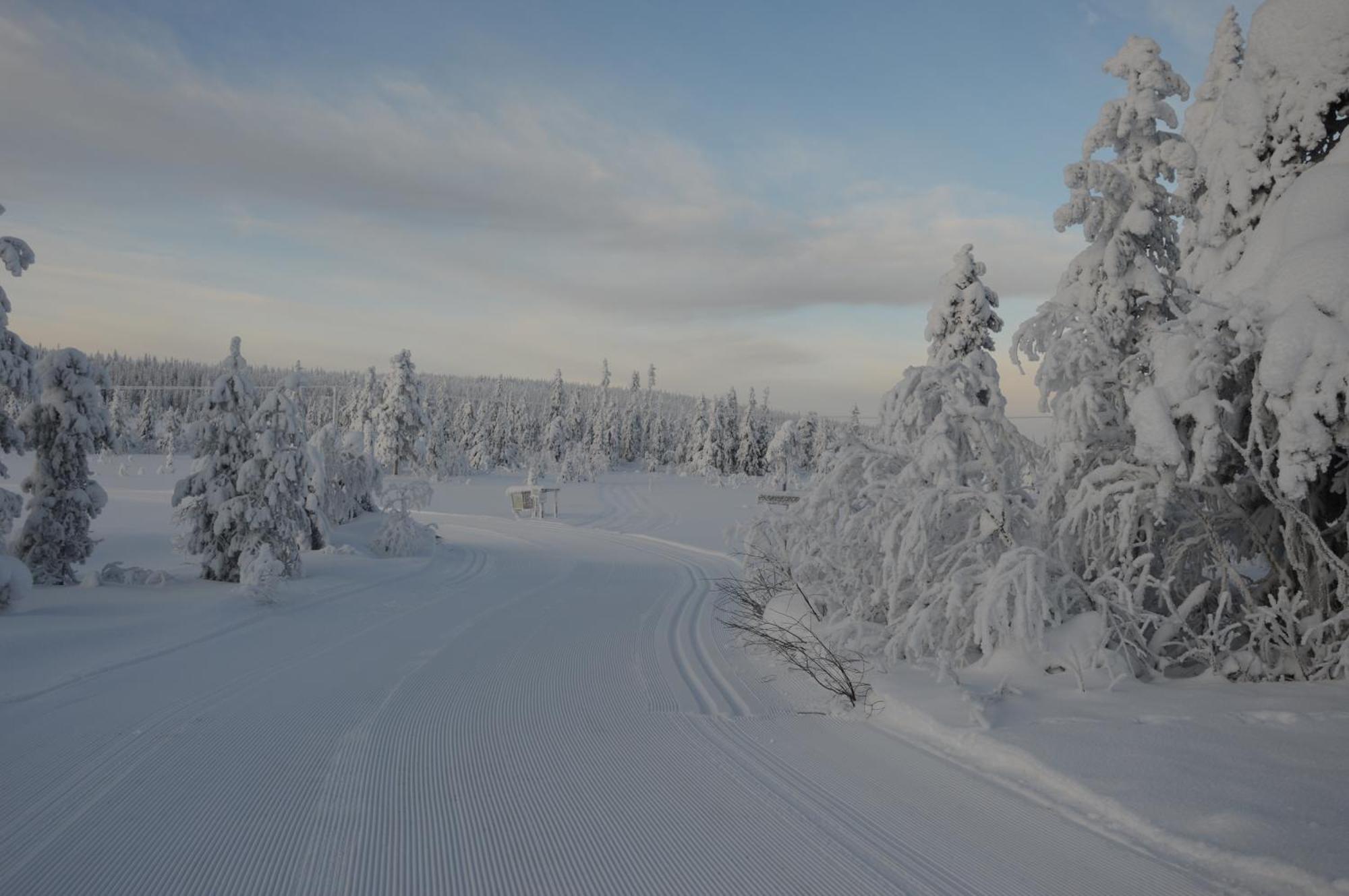Hytte Anno 1721 Uten Internett, Strom, Vann - Men Med Rodmalt Utedo Ljordal Экстерьер фото