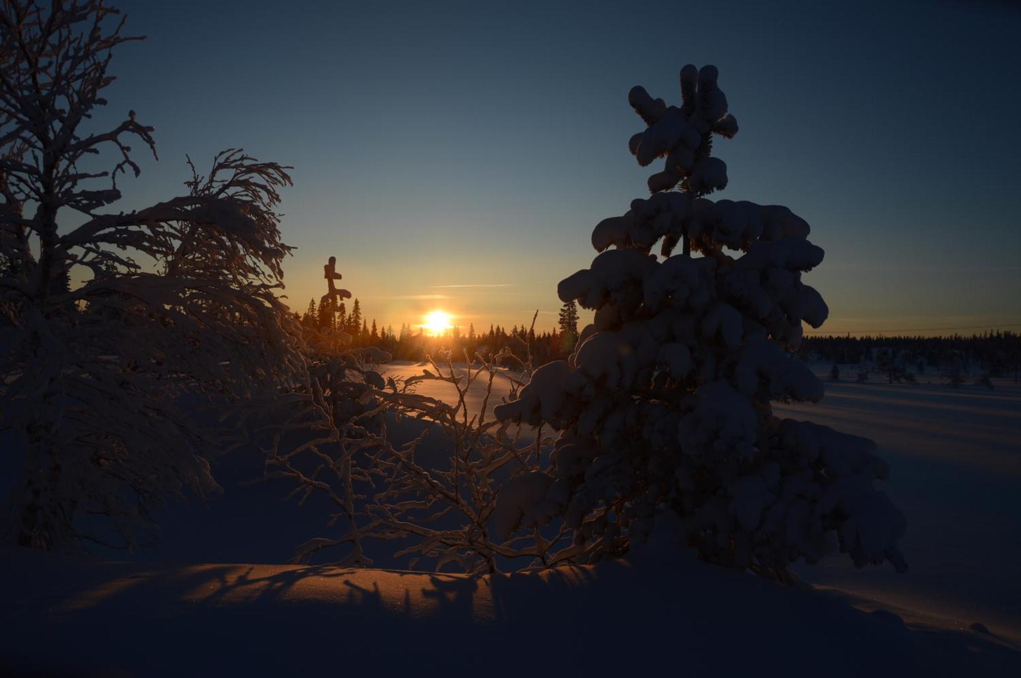 Hytte Anno 1721 Uten Internett, Strom, Vann - Men Med Rodmalt Utedo Ljordal Экстерьер фото