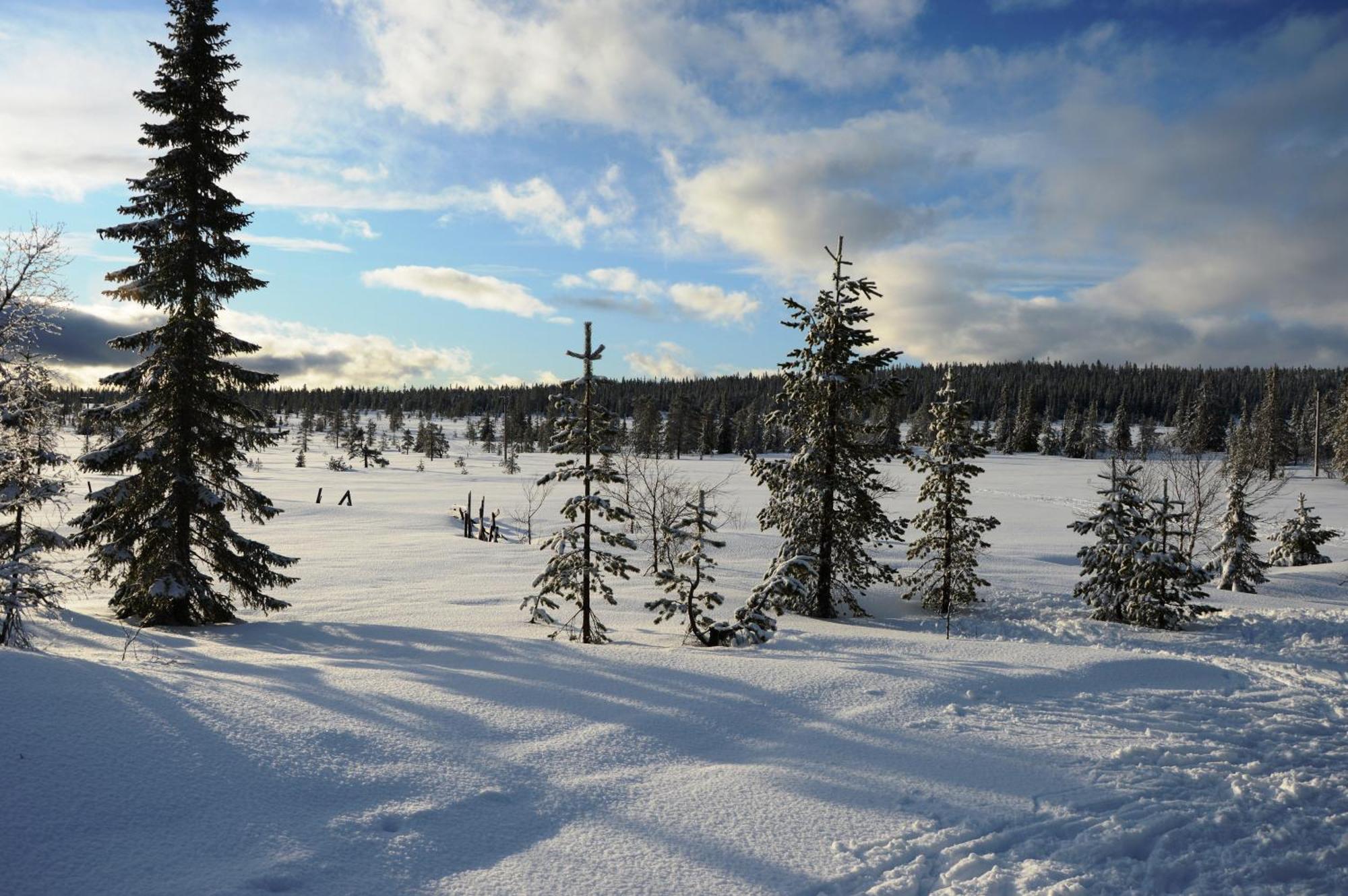 Hytte Anno 1721 Uten Internett, Strom, Vann - Men Med Rodmalt Utedo Ljordal Экстерьер фото