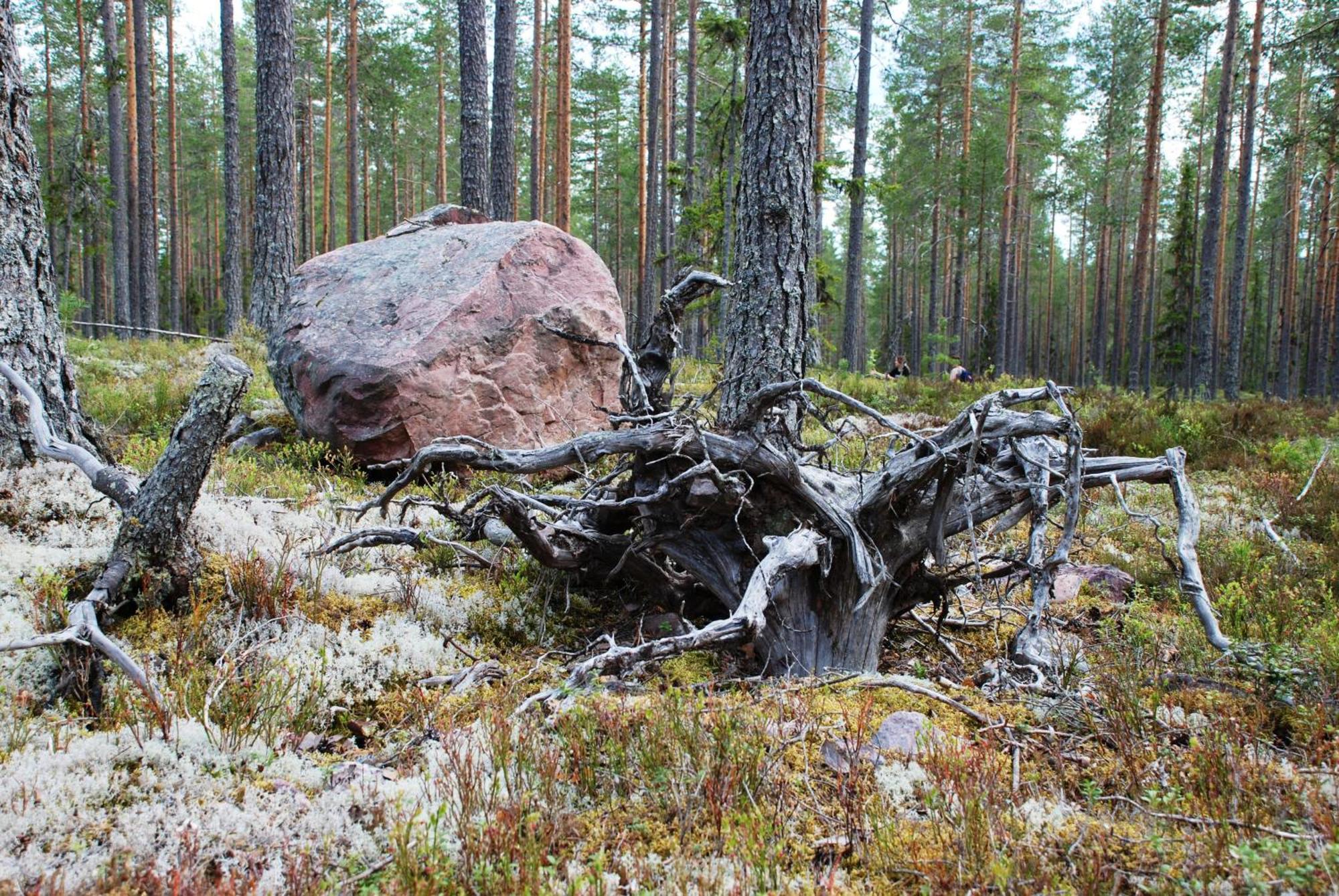 Hytte Anno 1721 Uten Internett, Strom, Vann - Men Med Rodmalt Utedo Ljordal Экстерьер фото