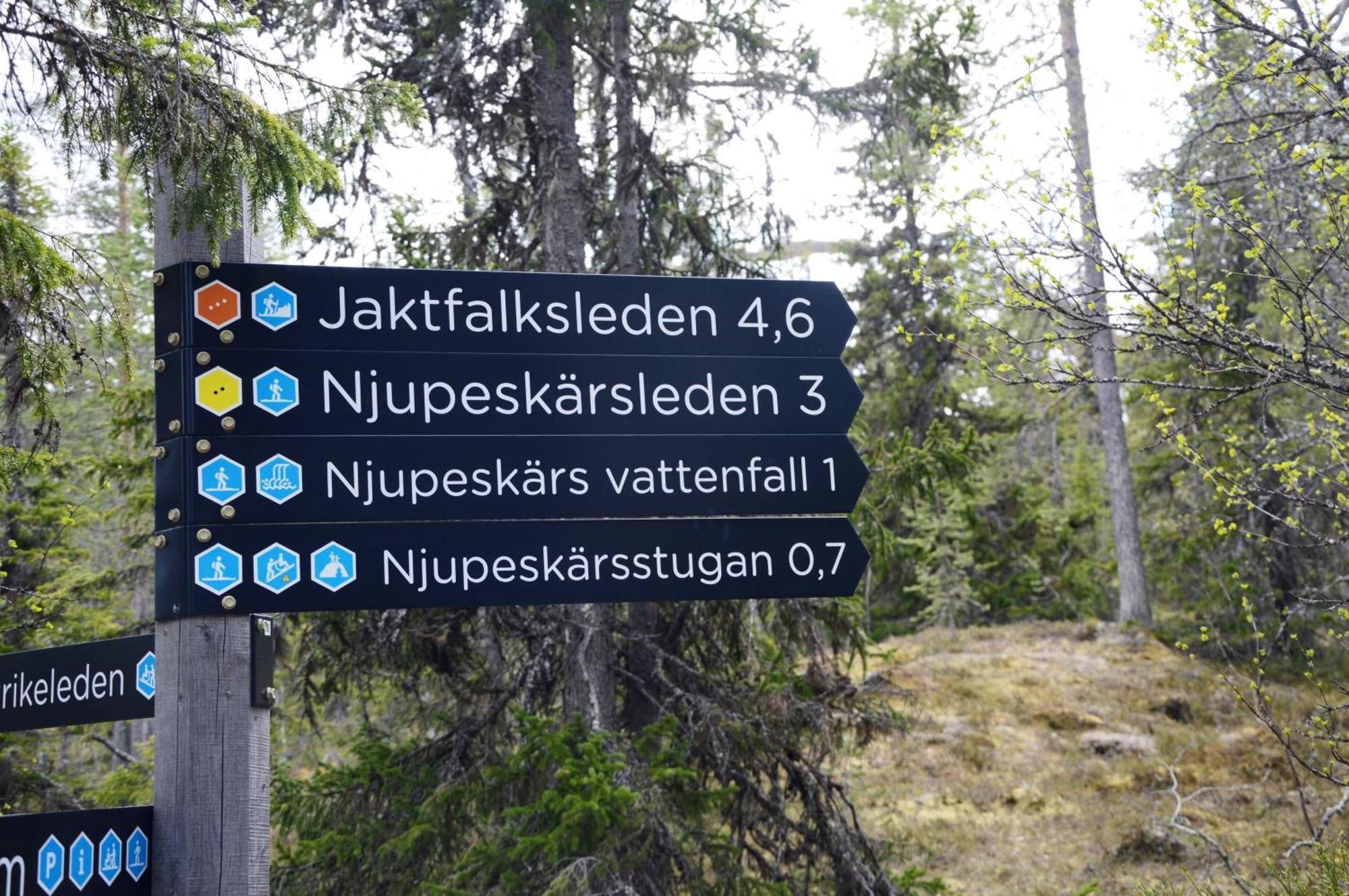 Hytte Anno 1721 Uten Internett, Strom, Vann - Men Med Rodmalt Utedo Ljordal Экстерьер фото