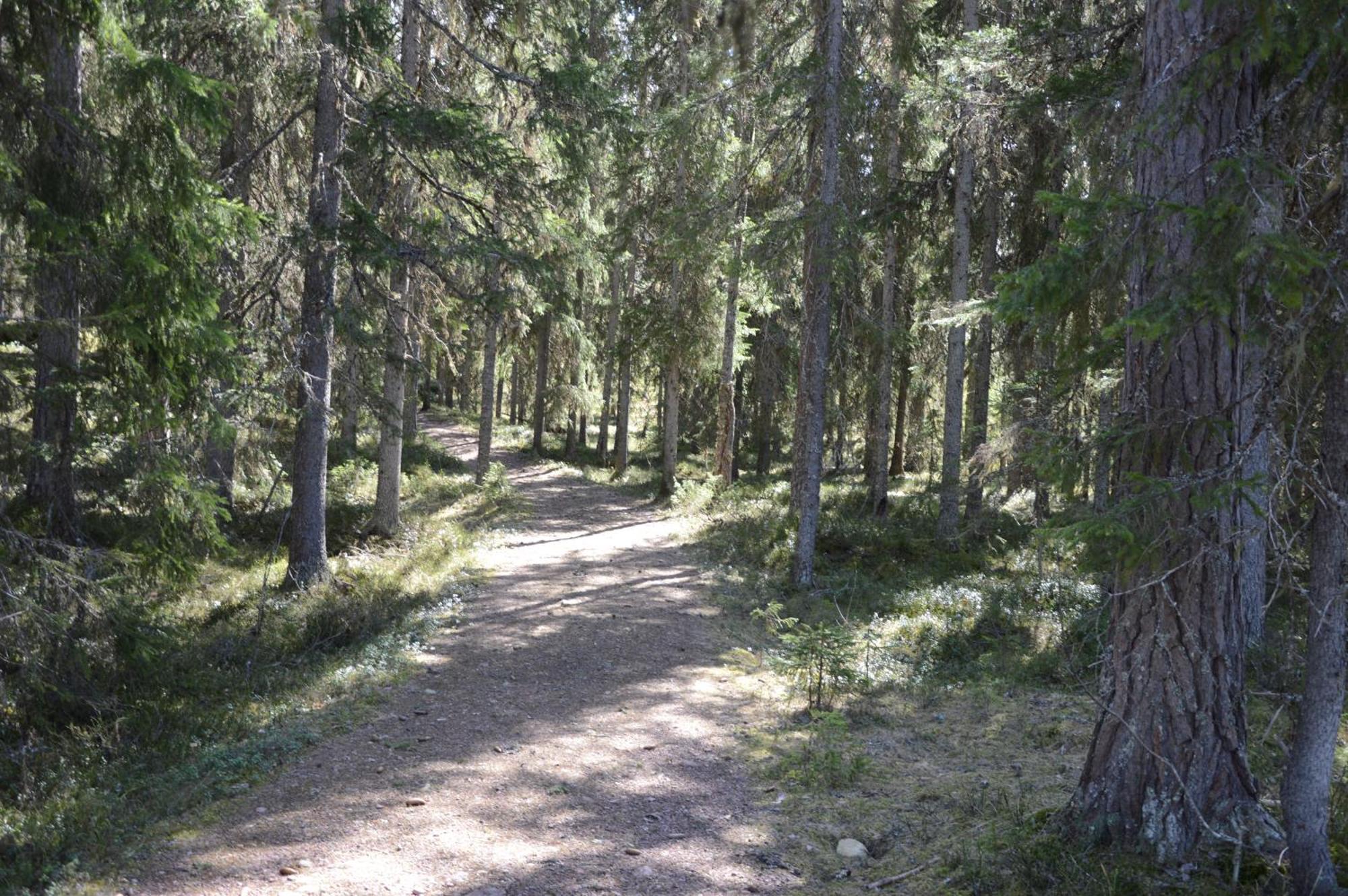 Hytte Anno 1721 Uten Internett, Strom, Vann - Men Med Rodmalt Utedo Ljordal Экстерьер фото